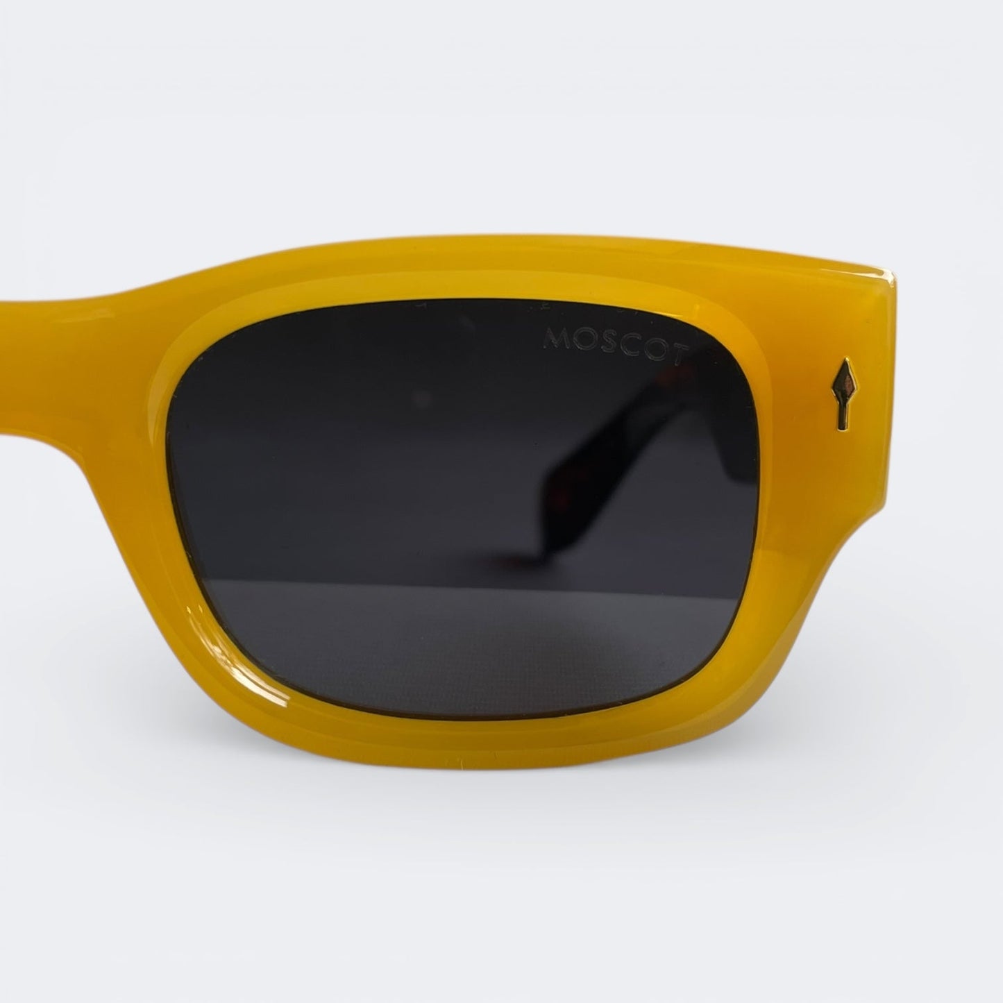 MOSCOT_6814